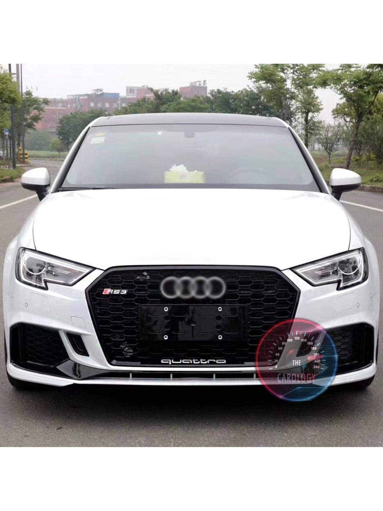 Audi RS3 Grill - The Carology