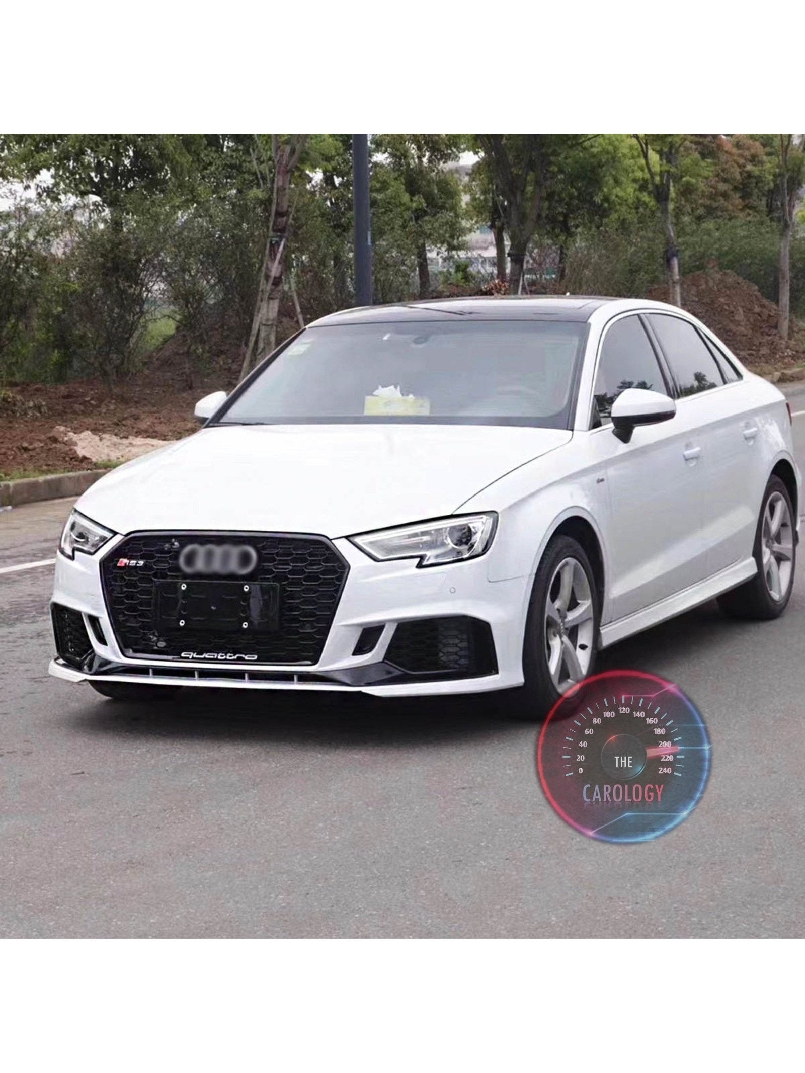 Audi RS3 Grill - The Carology